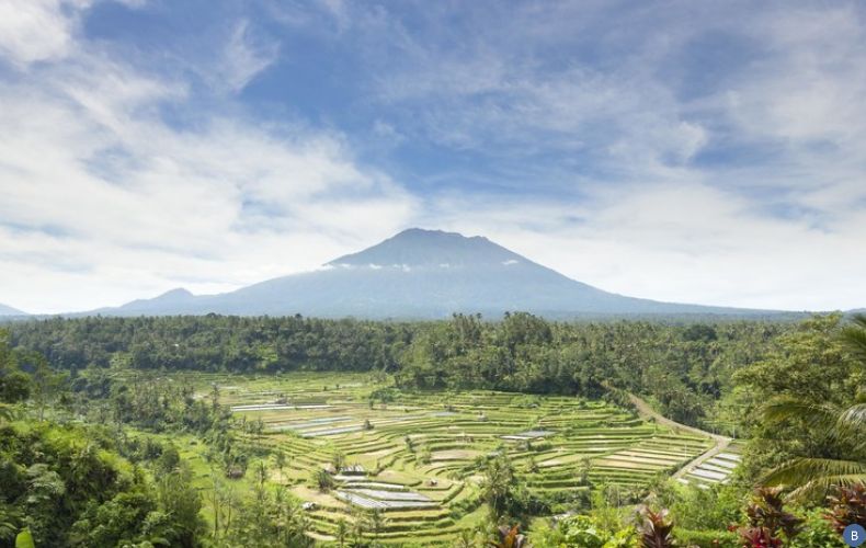 На Бали предложили ввести налог на иностранных туристов

