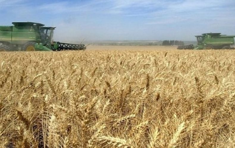 В республике начался сбор урожая пшеницы и ячменя