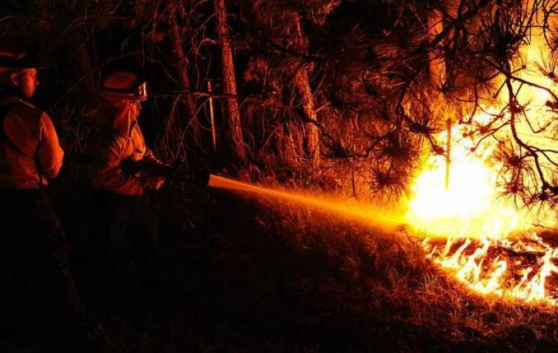На западе Канады более 9 тыс. человек покинули свои дома из-за лесных пожаров
