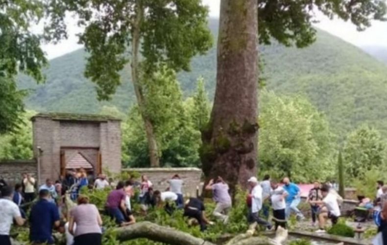 500-летнее дерево в Азербайджане обрушилась на 19 человек: двое пострадавших - туристы из России