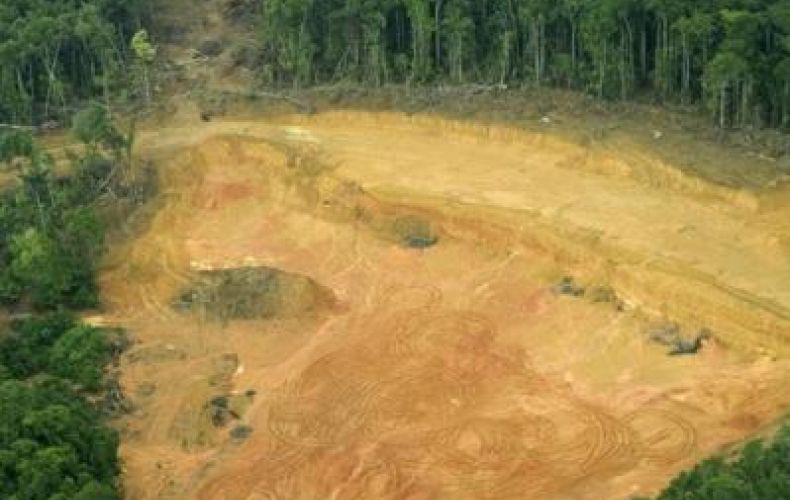 Ամազոնիայի բրազիլական մասում անտառահատումը մոտ երկու անգամ ավելացել է