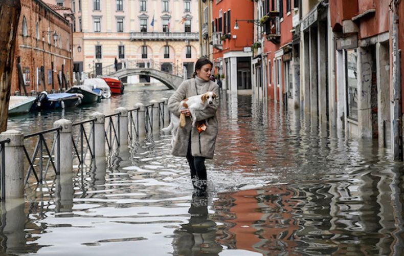 Рукопись Вивальди удалось спасти после наводнения в Венеции...
