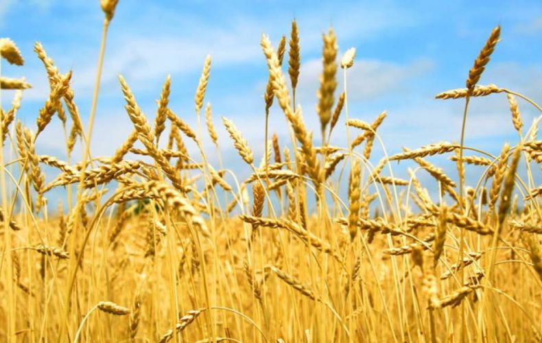 2020 թվականին Արցախում կիրականացվի գյուղատնտեսության համատարած հաշվառում