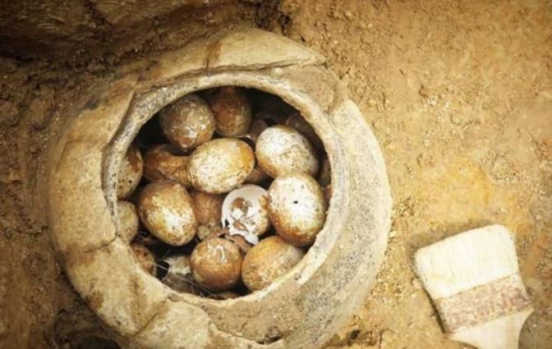 Չինական դամբարանում հնագետները 500 տարվա վաղեմության հավկիթներ են հայտնաբերել


