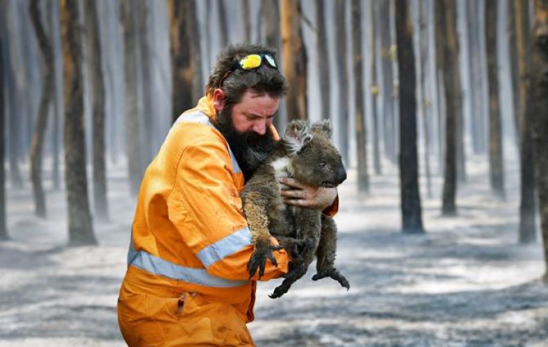 Австралии потребуется не менее века для восстановления после пожаров