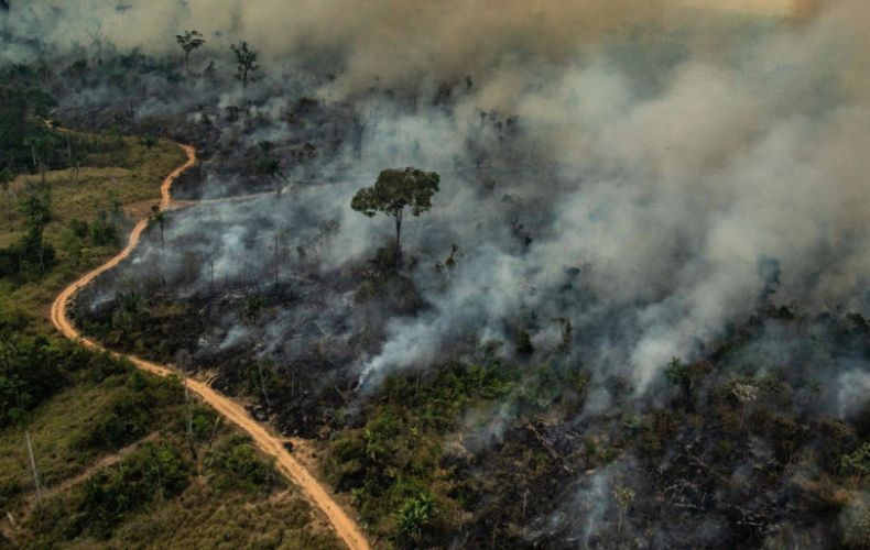 Բրազիլիայի ամազոնյան անտառներում հունիսին շուրջ 2300 բռնկումներ են տեղի ունեցել, որը 20 տոկոսով ավելին է, քան 2019 թվականին տեղի ունեցած հրդեհները: