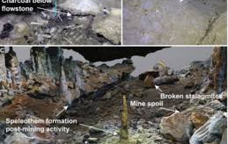 Մեքսիկայում 12 հազար տարի առաջ «շահագործված» հանքեր են հայտնաբերվել
