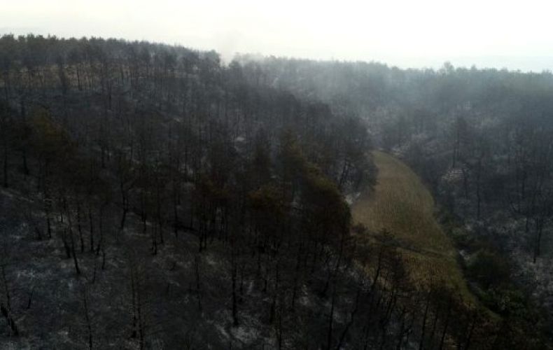 Турция перекрыла пролив Дарданеллы из-за лесных пожаров


