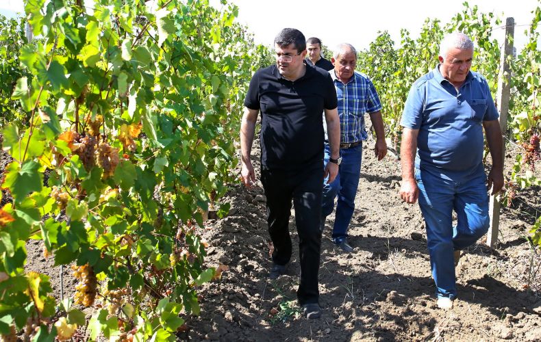 A large-scale program for the development of horticulture will be launched in Akna district: President Harutyunyan paid a working visit