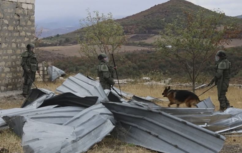 Российские миротворцы разминировали 2 га территории в Арцахе с привлечением собак минно-розыскной службы и робототехнических комплексов