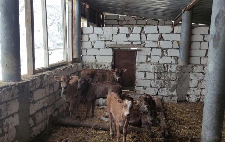 В Арцахе реализуются программы развития животноводства