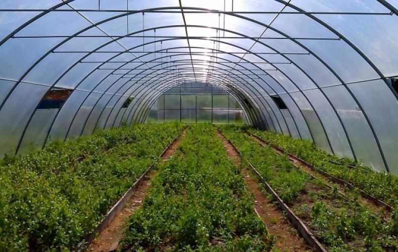 Greenhouses being built in Khnapat and Khramort communities of Askeran region
