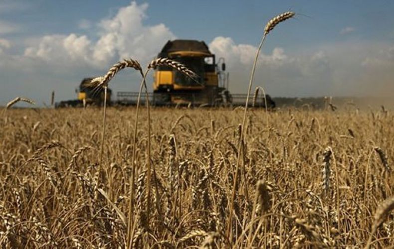 В Арцахе идет уборка зерновых: показатели урожайности удовлетворительные