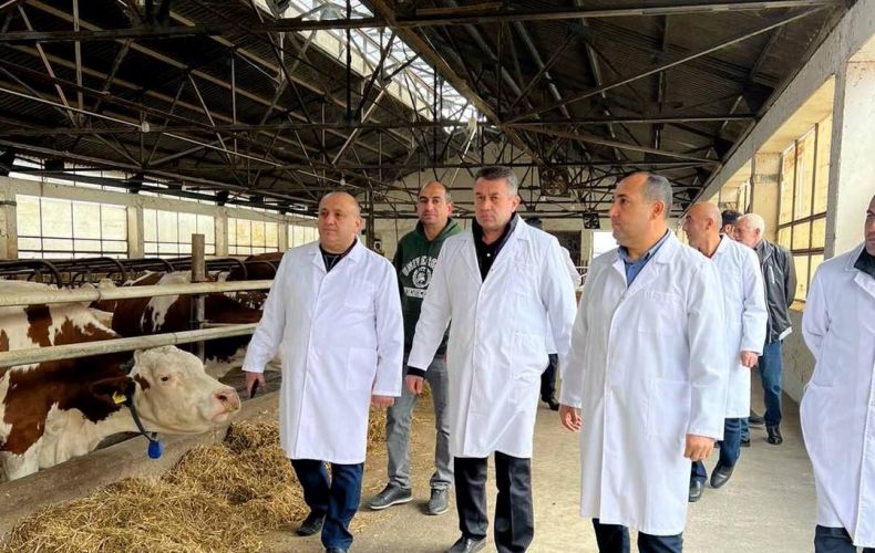 Министр сельского хозяйства Республики Арцах на месте проследил за деятельностью ЗАО 