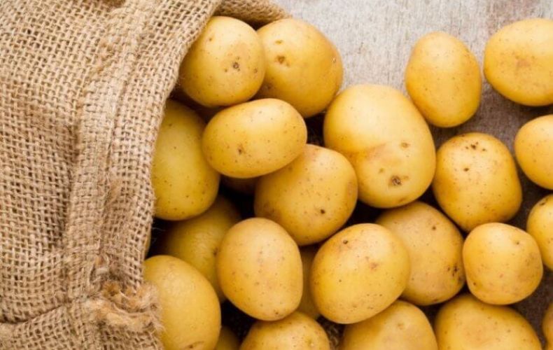 Процесс заключения договоров на предоставление семян картофеля возобновится с 24 марта